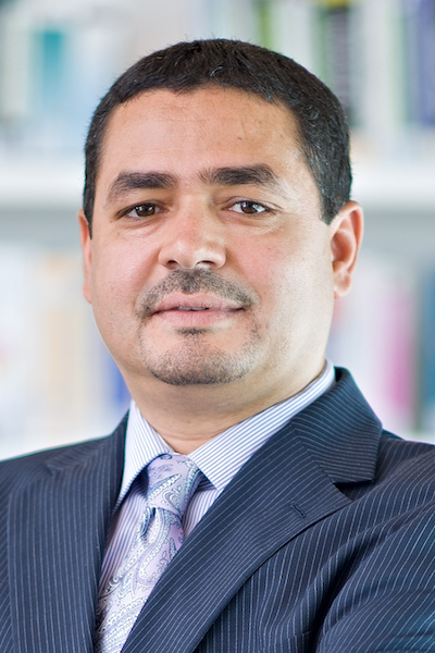 Prof. Dr Samir Elhedhli